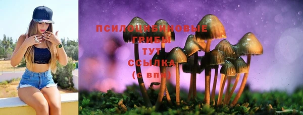 крисы Армянск