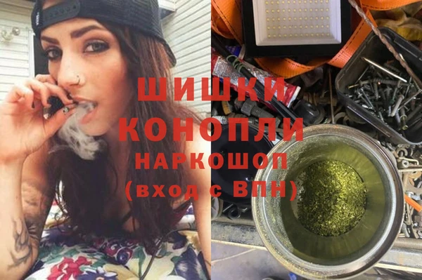 крисы Армянск