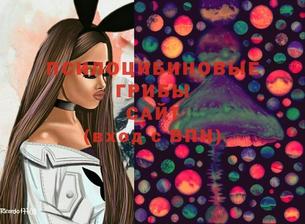 крисы Армянск