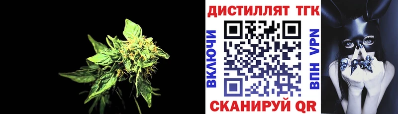 ТГК концентрат Бакал