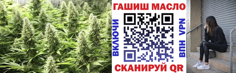 ссылка на мегу вход  где купить наркоту  darknet состав  ТГК вейп  Бакал 